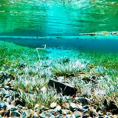 Gruener Exklusiv * Oberort