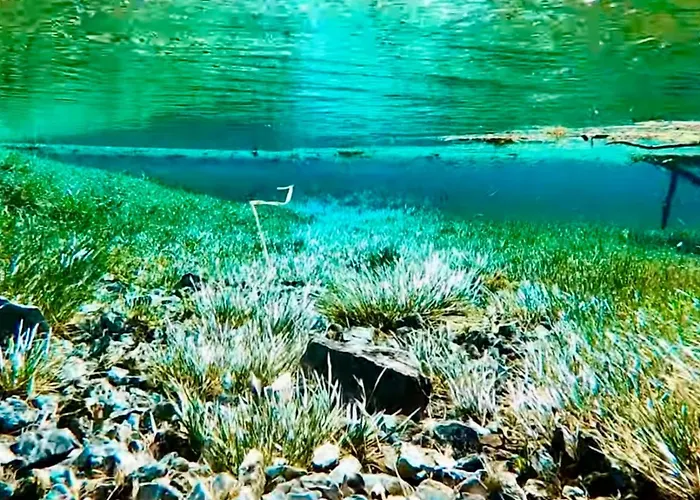 Gruener Exklusiv * Oberort